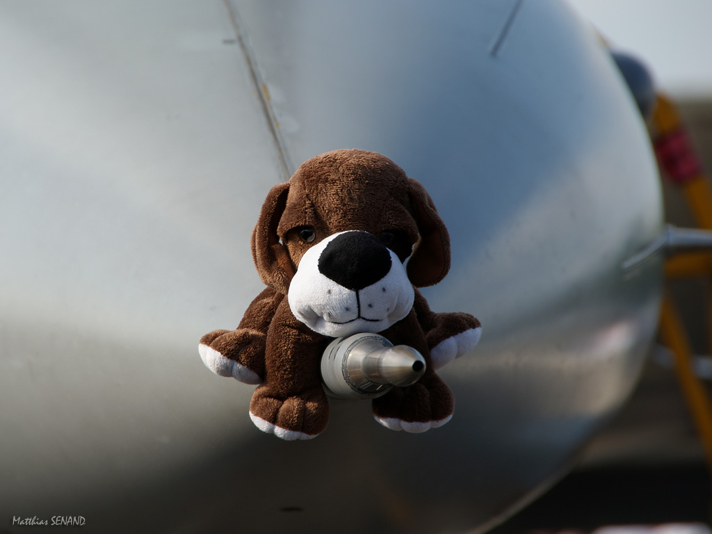 F16 Belge et la Mascotte !