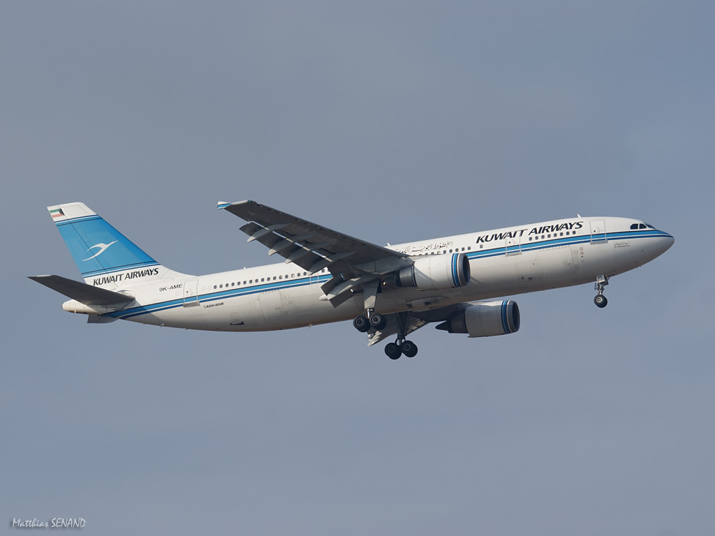 20100403223252-901b41a6.jpg