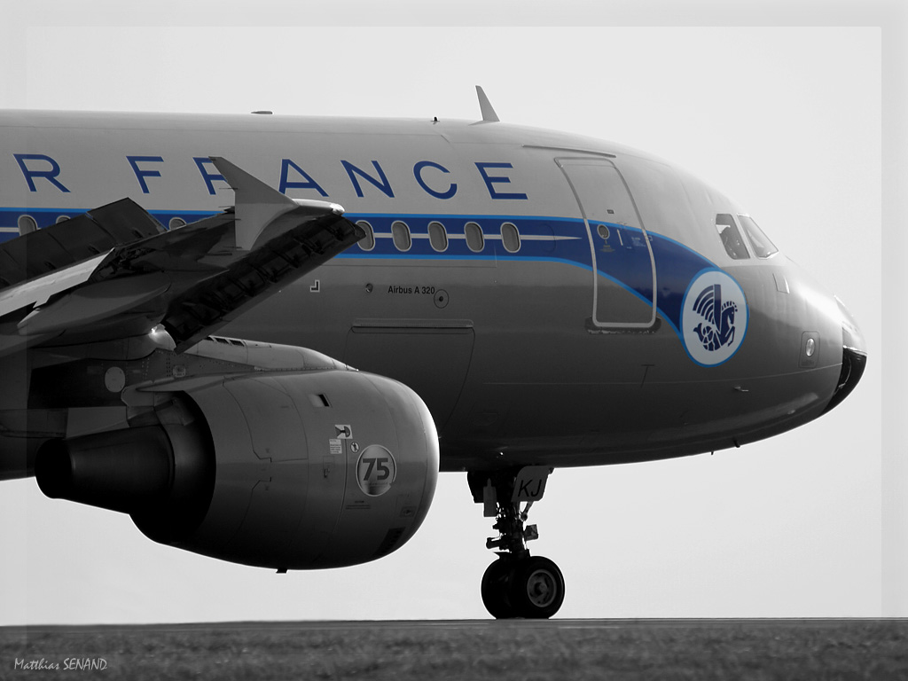 20100503135945-d8fe25ed.jpg