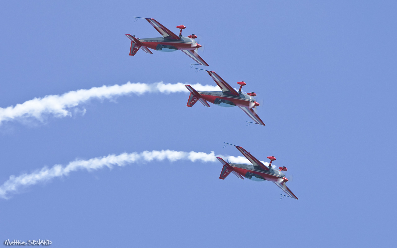 Royal Jordanian Falcons