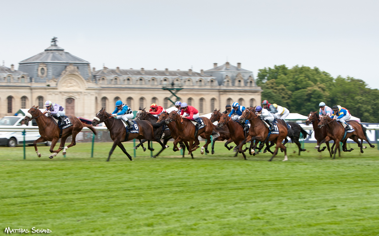 Courses - Prix de Diane